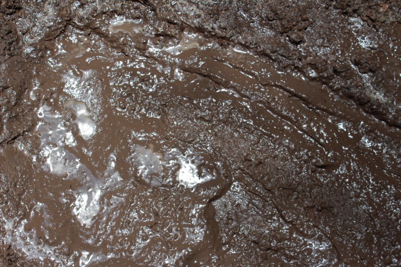 Текстура грязи