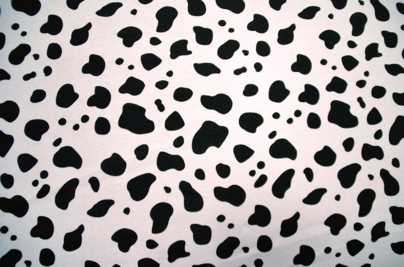 Пятна далматинца