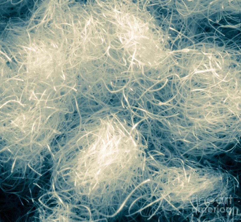 Натуральные волокна хлопок