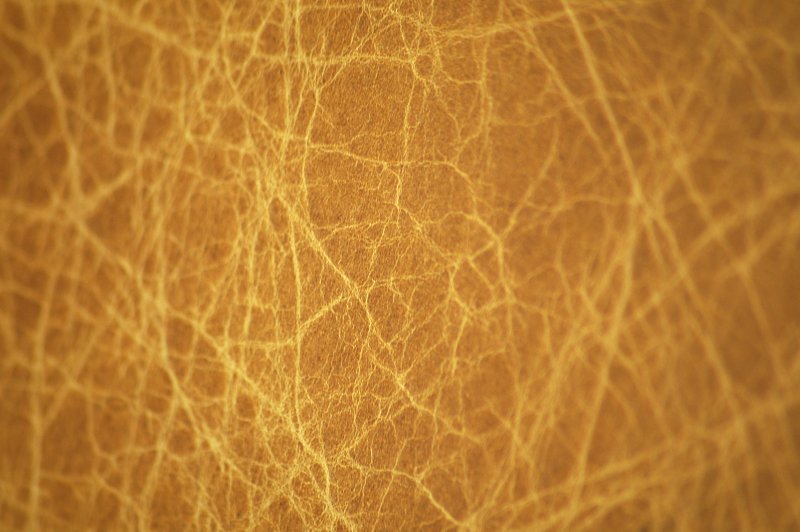 Текстура кожи