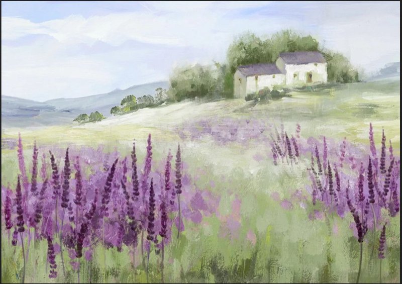 Лавандовые поля Жан Марк Жаньячик