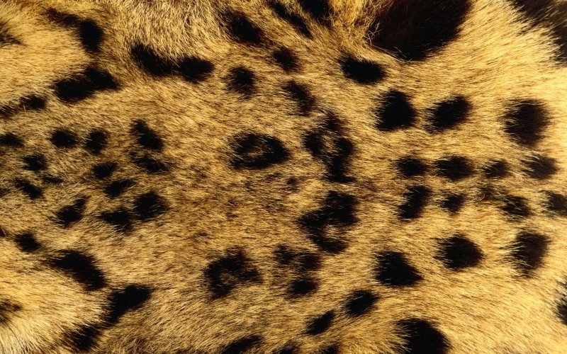 Леопардовый мех
