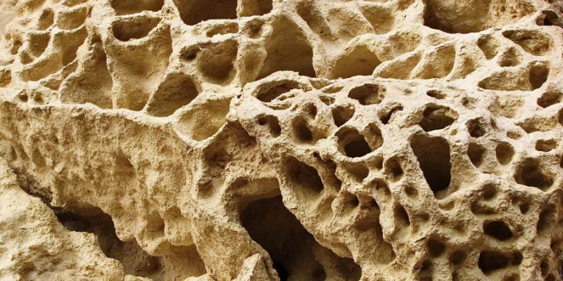 Ракушечник Горная порода