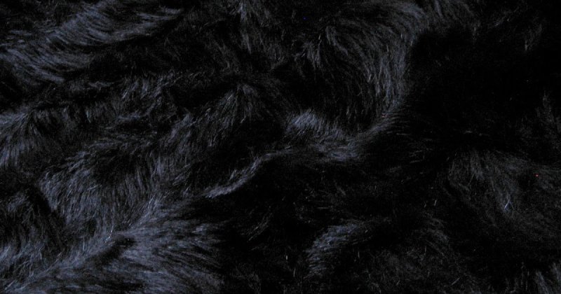 Черная шерсть