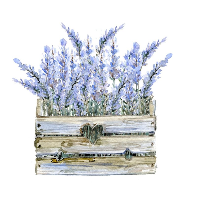 Прованс декупаж Lavande