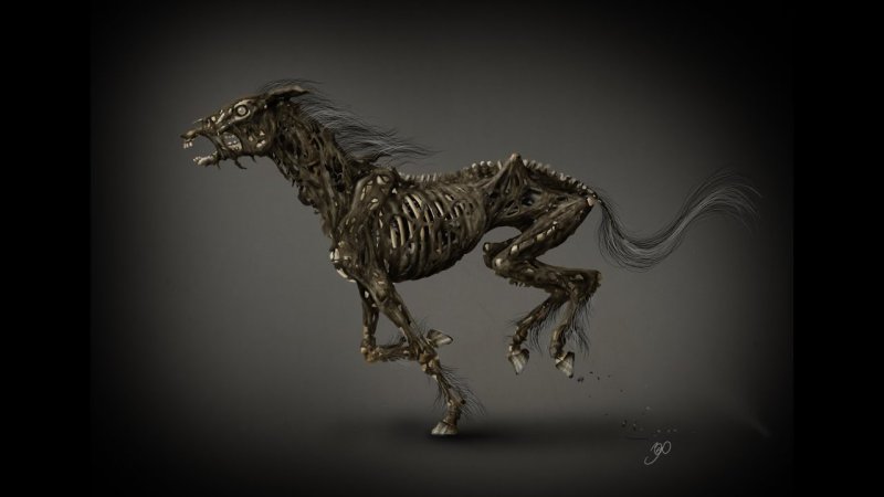 Скелет коня