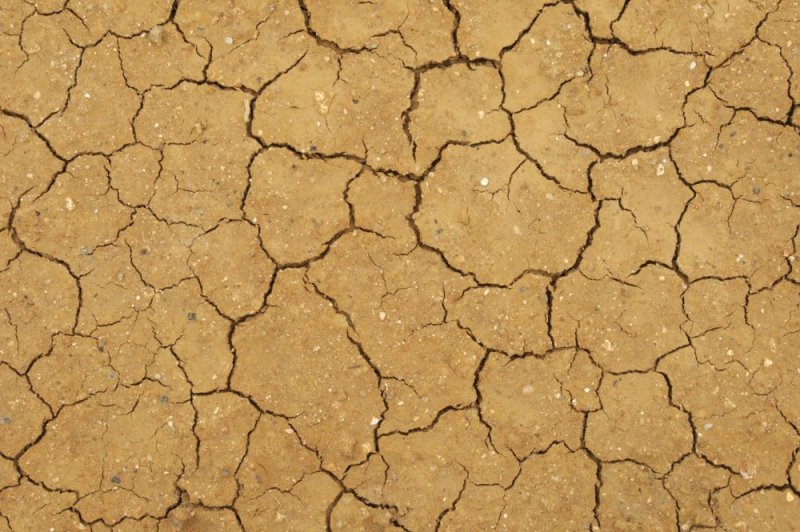 Грунт текстура