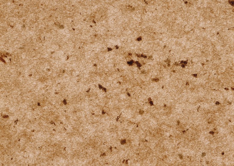 Пробковая бумага