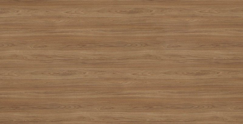 Дуб ирландский u31156