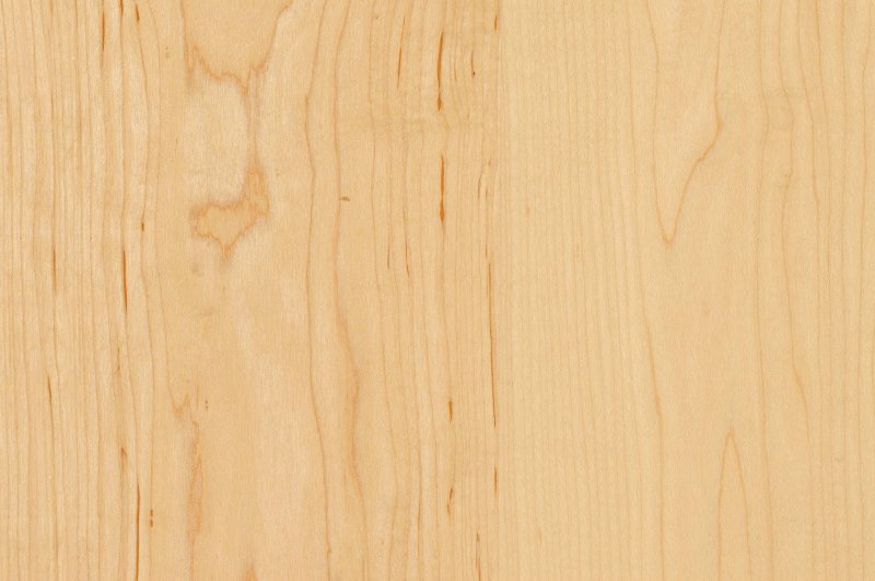 Малазийский клен древесина