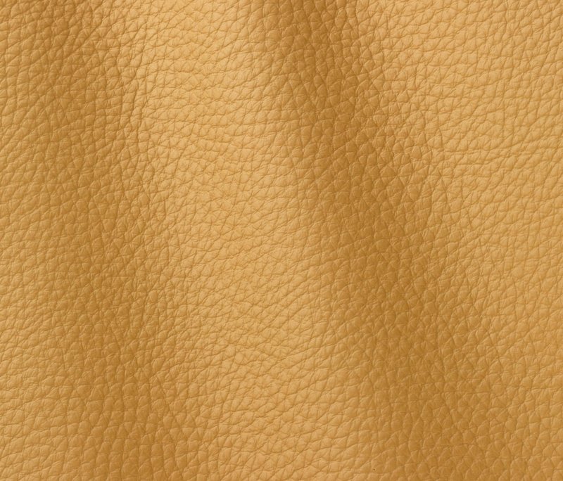 Текстура кожи