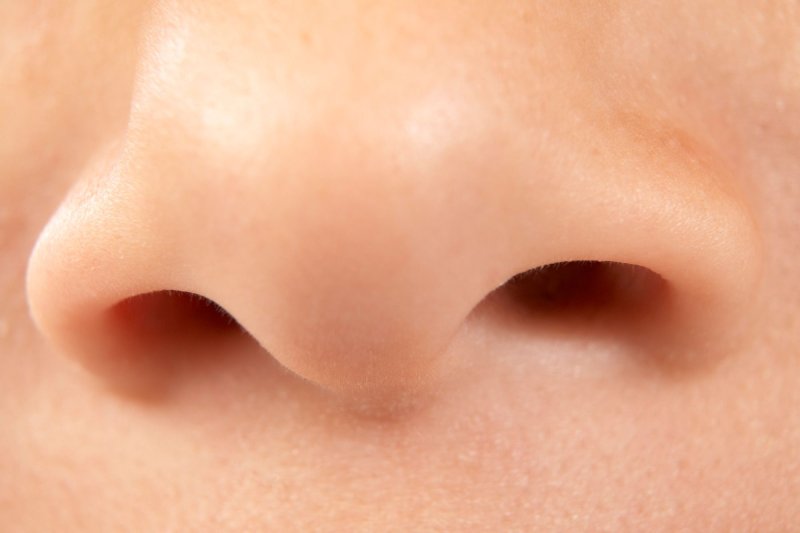 Изображение носа