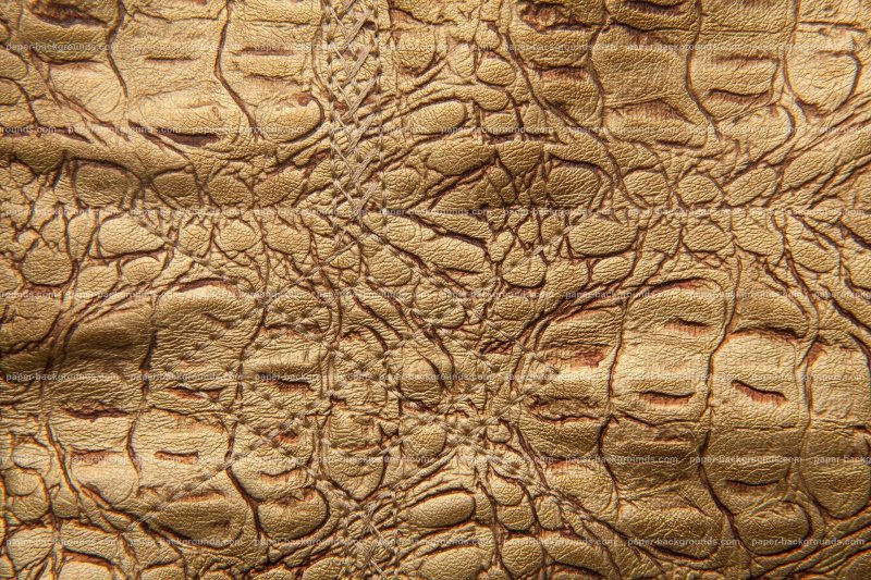 Текстура кожи