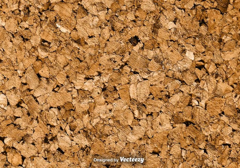 Пробковое дерево текстура