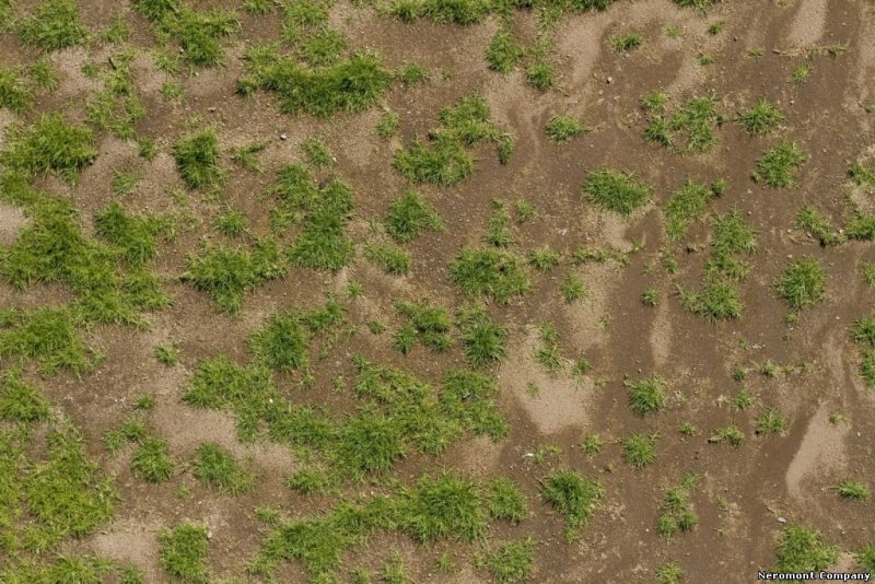 Земля текстура бесшовная для 3d Max