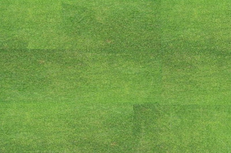 Текстура травы