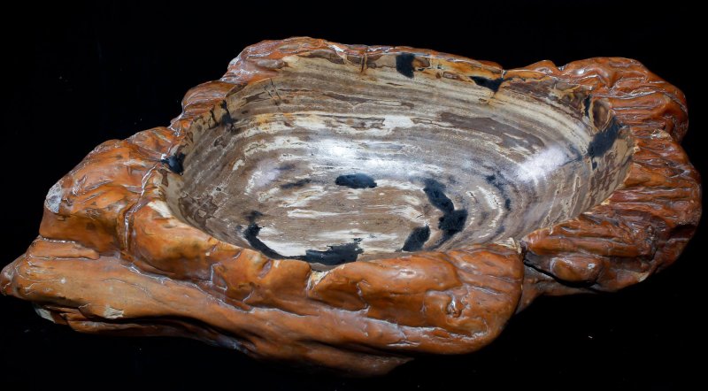 Халцедон окаменевшее дерево