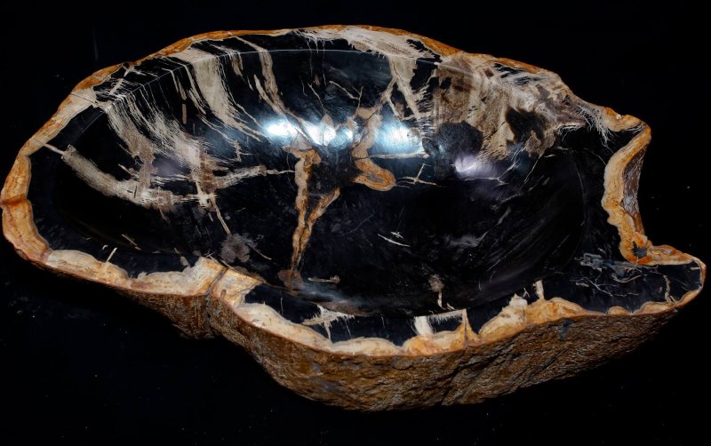 Окаменелые деревья в Аризоне