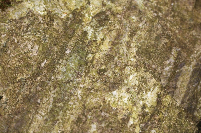 Массивная текстура горных пород