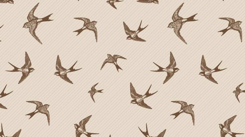 Ласточки фон