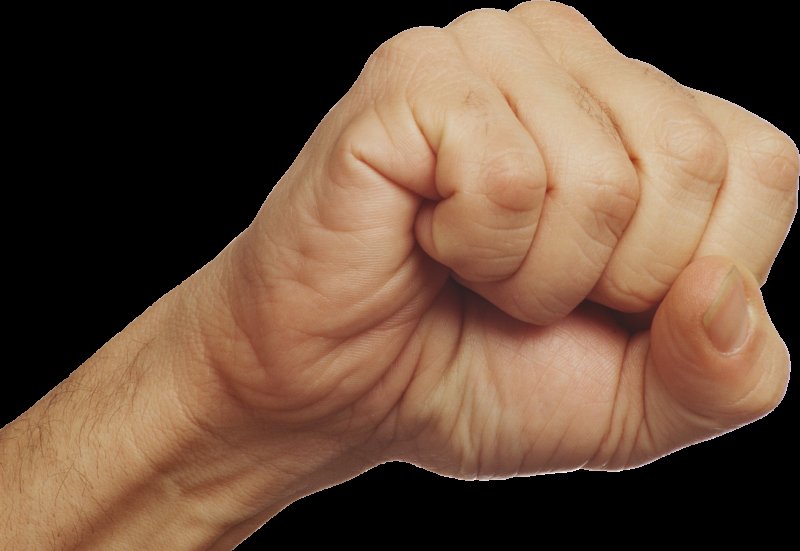 Сжатый кулак