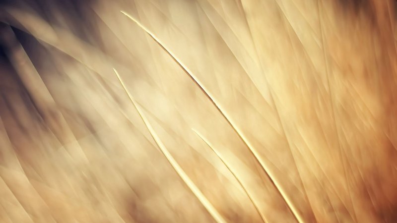 Светлый фон