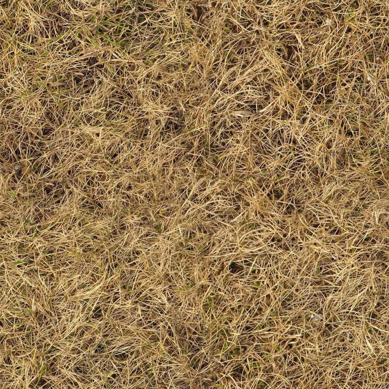 Газон текстура бесшовная