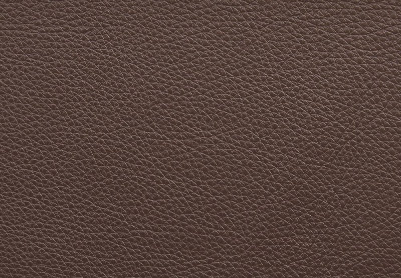 Коричневая кожа