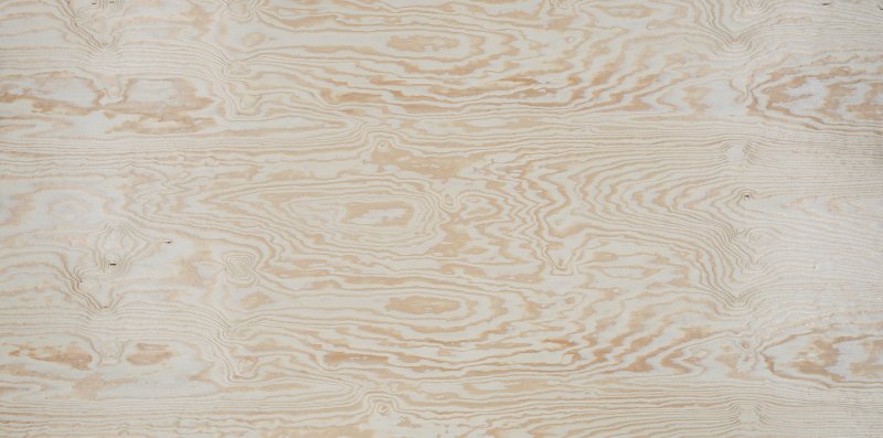 Береза текстура древесины