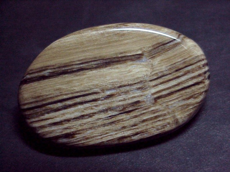 Окаменевшее дерево камень