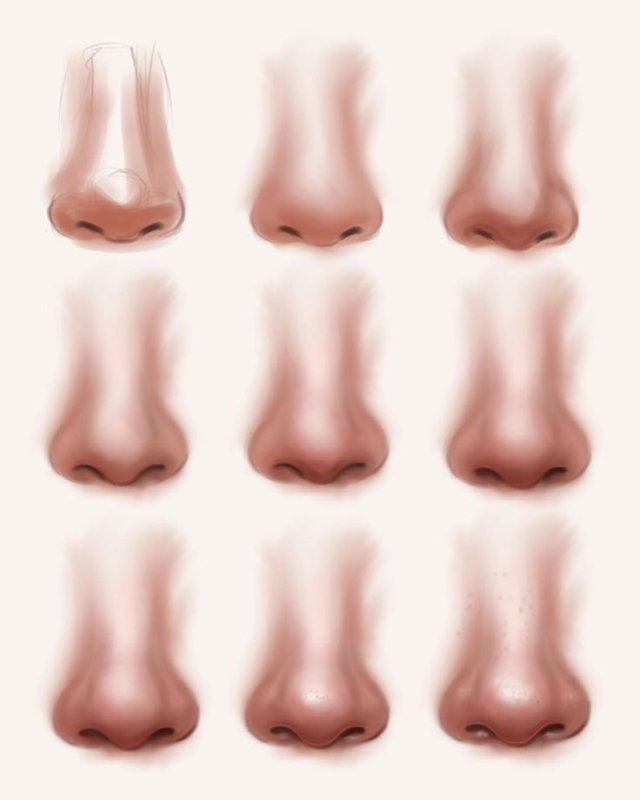 Туториал рисования носа