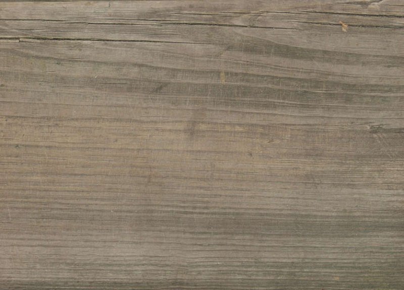 Седой дуб текстура