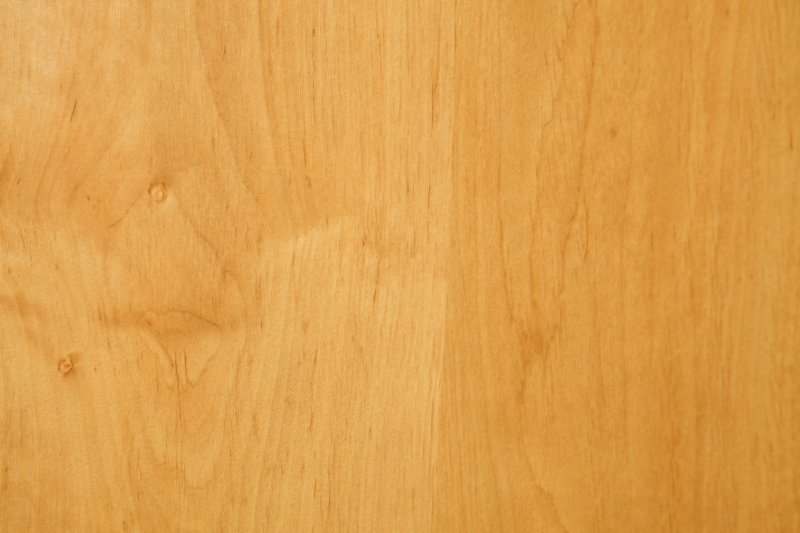 Светлое дерево