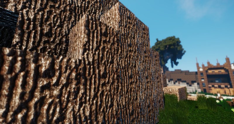 Realistic resource Pack 256x