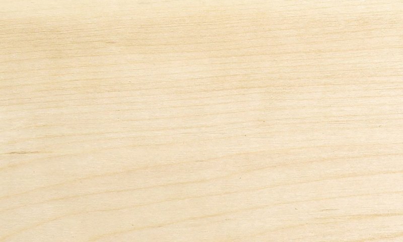 Осина текстура древесины