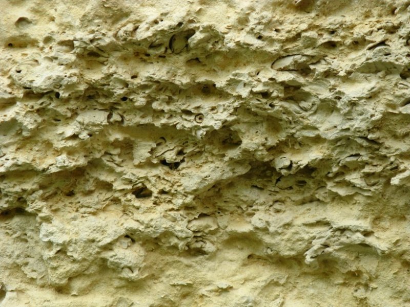 Пизолитовый известняк