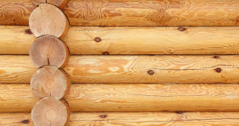 Текстура сруба дерева