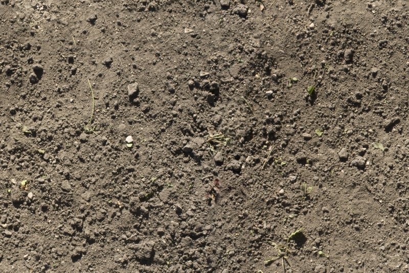 Текстура земля бесшовная для 3д Макс