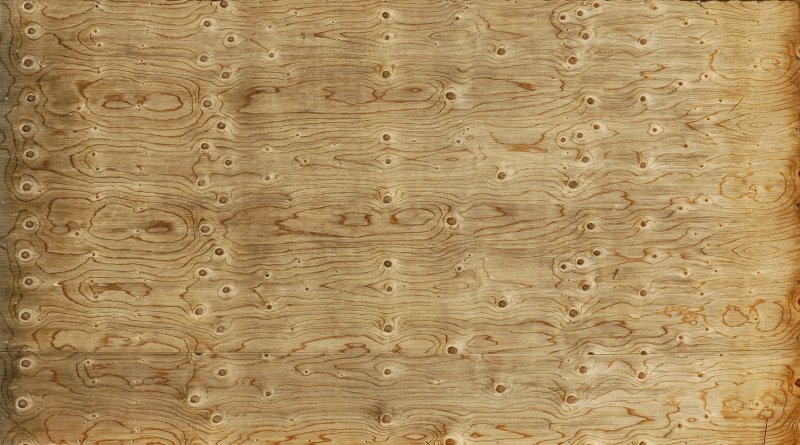 Фактура дерева