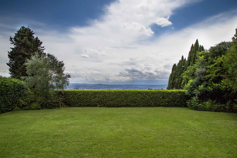 Гарден Фореста ландшафт