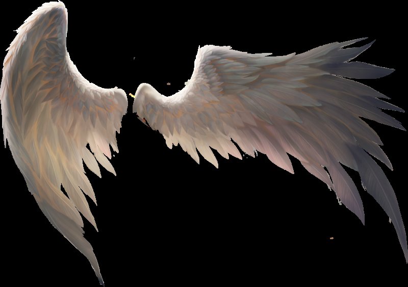 Красивые Крылья