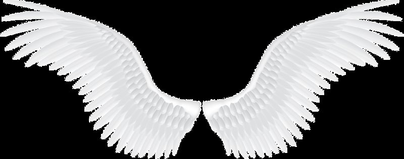 Крылья ангела