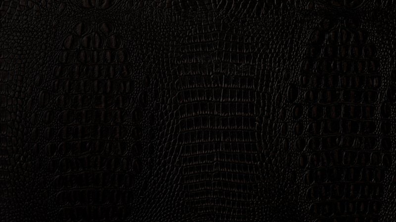 Кожа питона черная