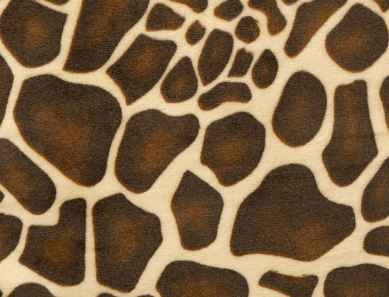 Животный принт