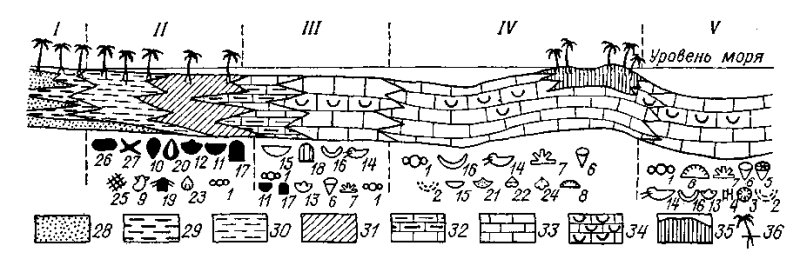 Схема фаций Геология