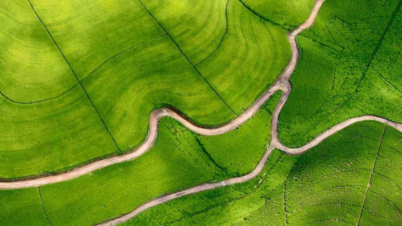 Поле вид сверху