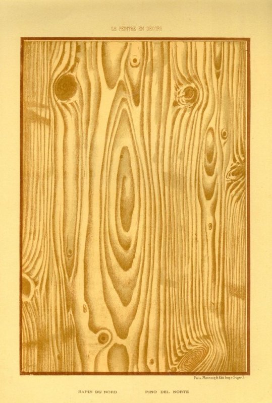 Текстура древесины