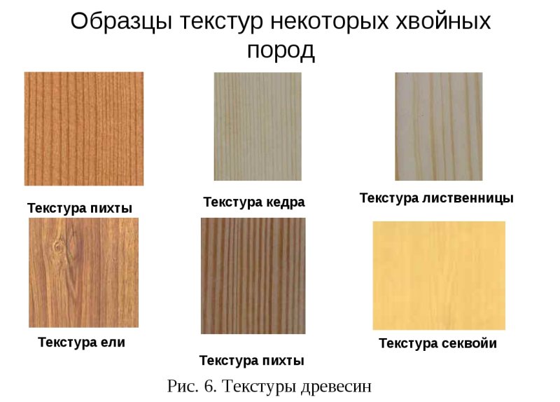 Разница древесины лиственница сосна кедр ель