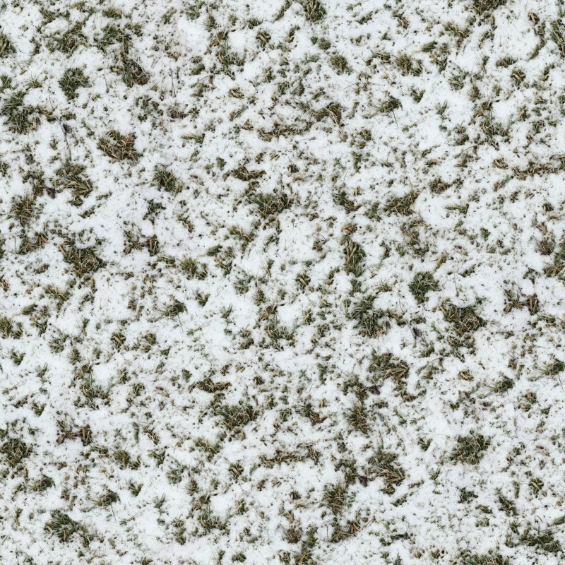 Заснеженный газон