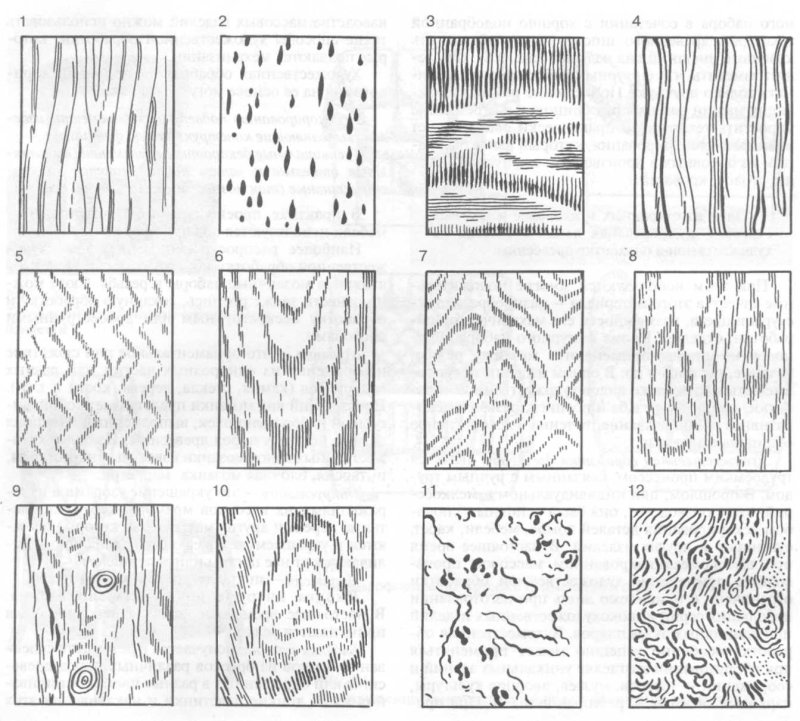 Фактура разных пород дерева
